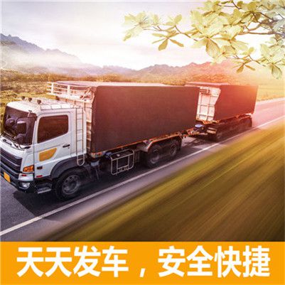 河源到石家莊辛集市物流公司